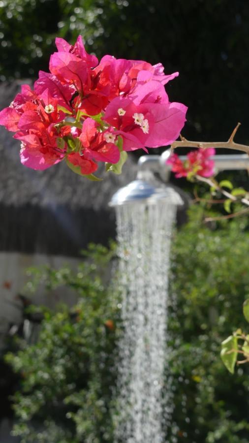 Estrela Azul Guest House Buzios Экстерьер фото